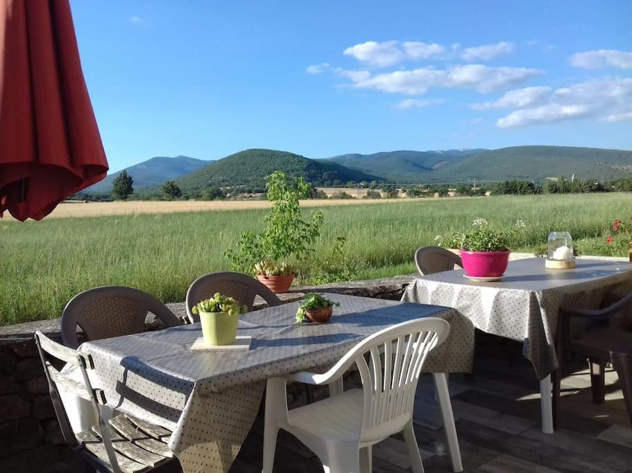 Gite Les Granges Dans Ferme Provencale. 14 Pers Ongles Dış mekan fotoğraf