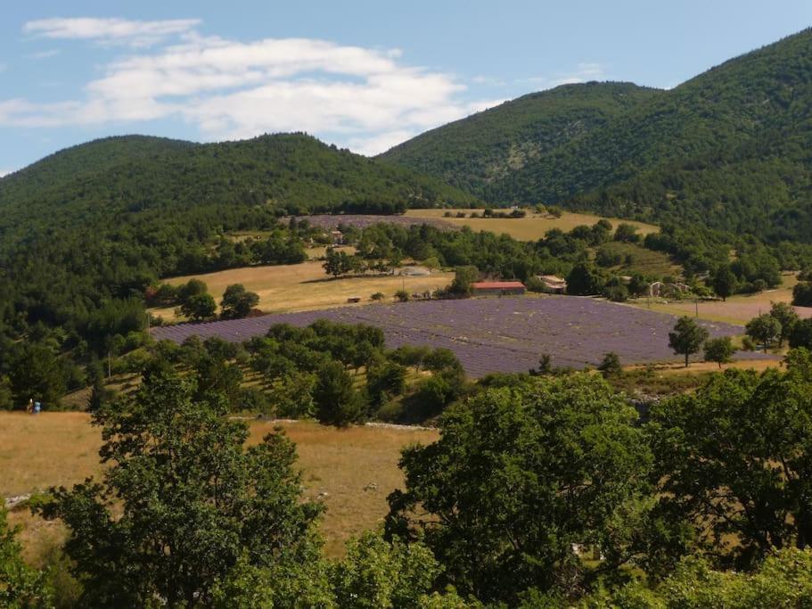 Gite Les Granges Dans Ferme Provencale. 14 Pers Ongles Dış mekan fotoğraf