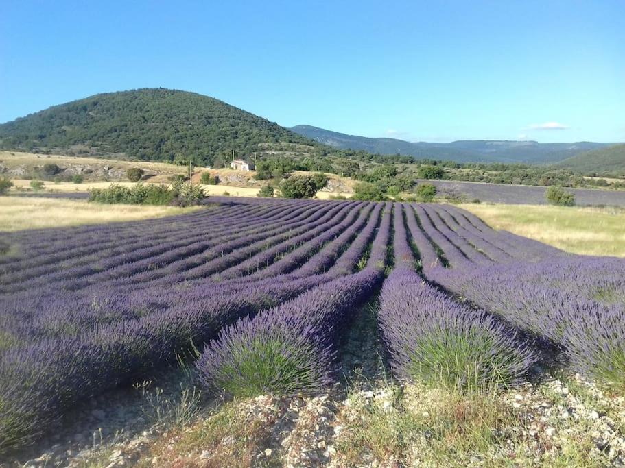 Gite Les Granges Dans Ferme Provencale. 14 Pers Ongles Dış mekan fotoğraf