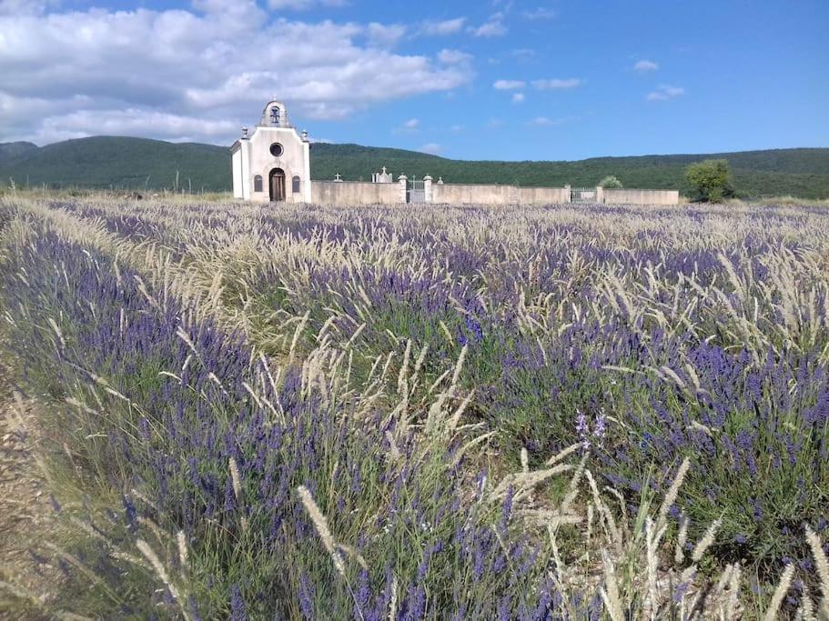 Gite Les Granges Dans Ferme Provencale. 14 Pers Ongles Dış mekan fotoğraf