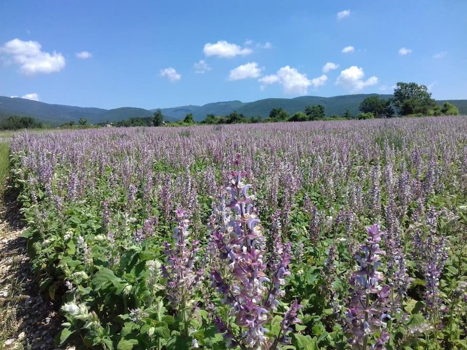 Gite Les Granges Dans Ferme Provencale. 14 Pers Ongles Dış mekan fotoğraf
