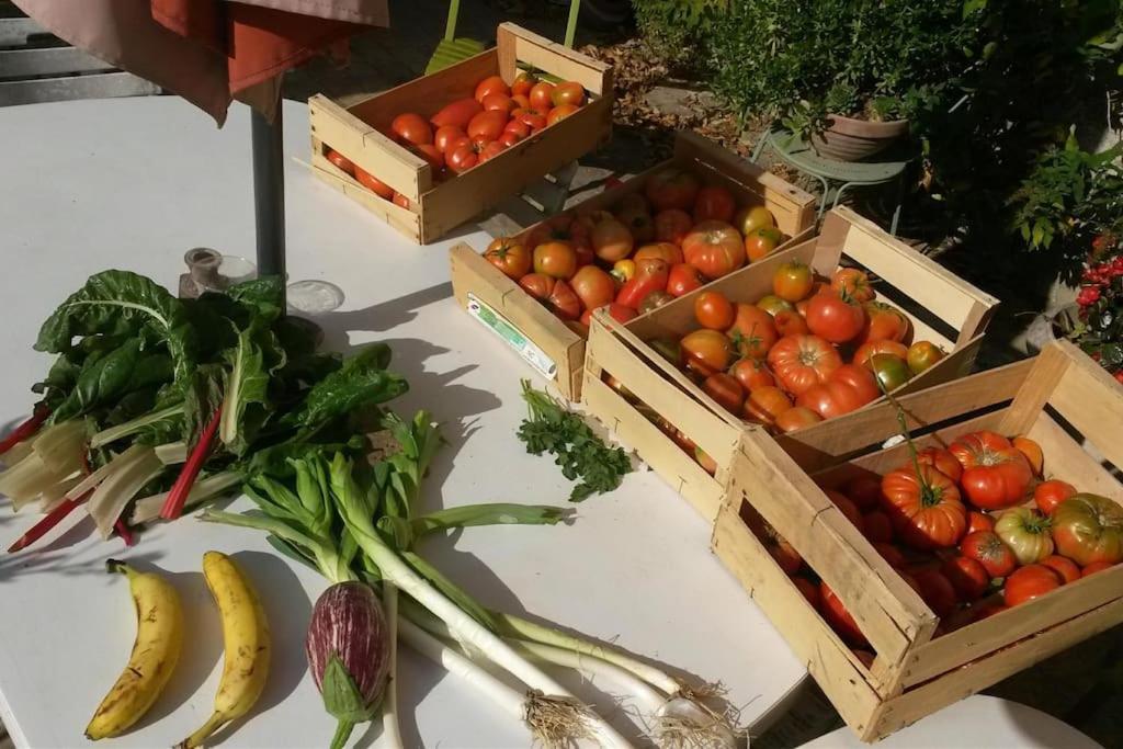 Gite Les Granges Dans Ferme Provencale. 14 Pers Ongles Dış mekan fotoğraf