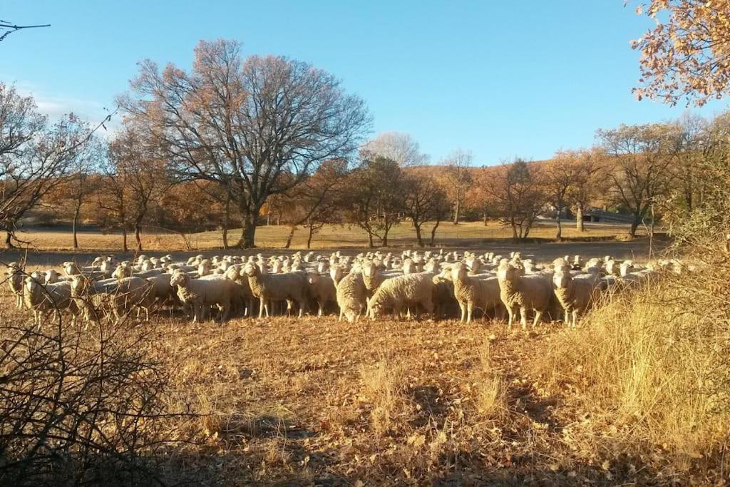 Gite Les Granges Dans Ferme Provencale. 14 Pers Ongles Dış mekan fotoğraf