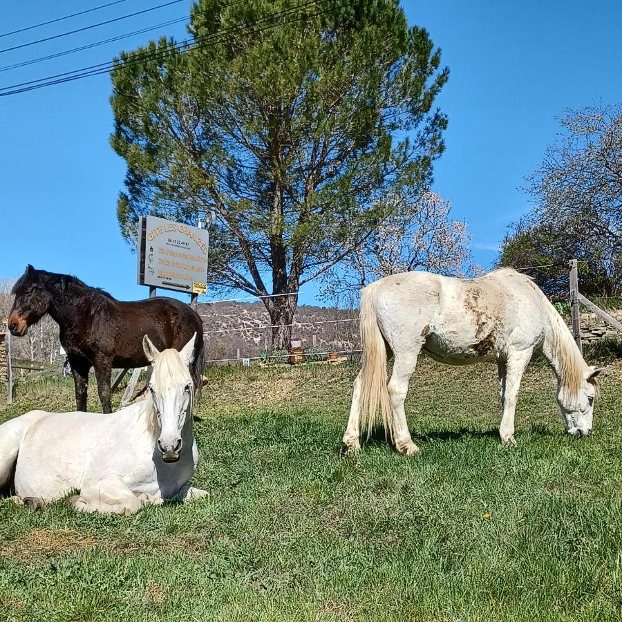 Gite Les Granges Dans Ferme Provencale. 14 Pers Ongles Dış mekan fotoğraf